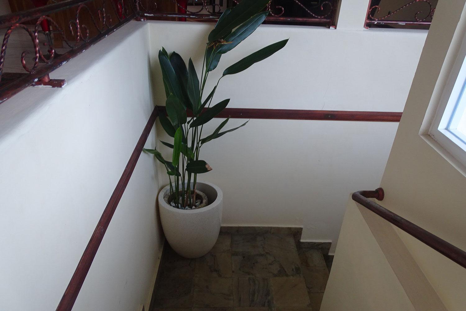 Villa Ebel Lovina Екстериор снимка